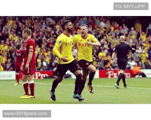 沃特福德与南安普顿2019年精彩对决回顾与分析